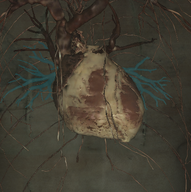 <p>Name the structure highlighted </p>