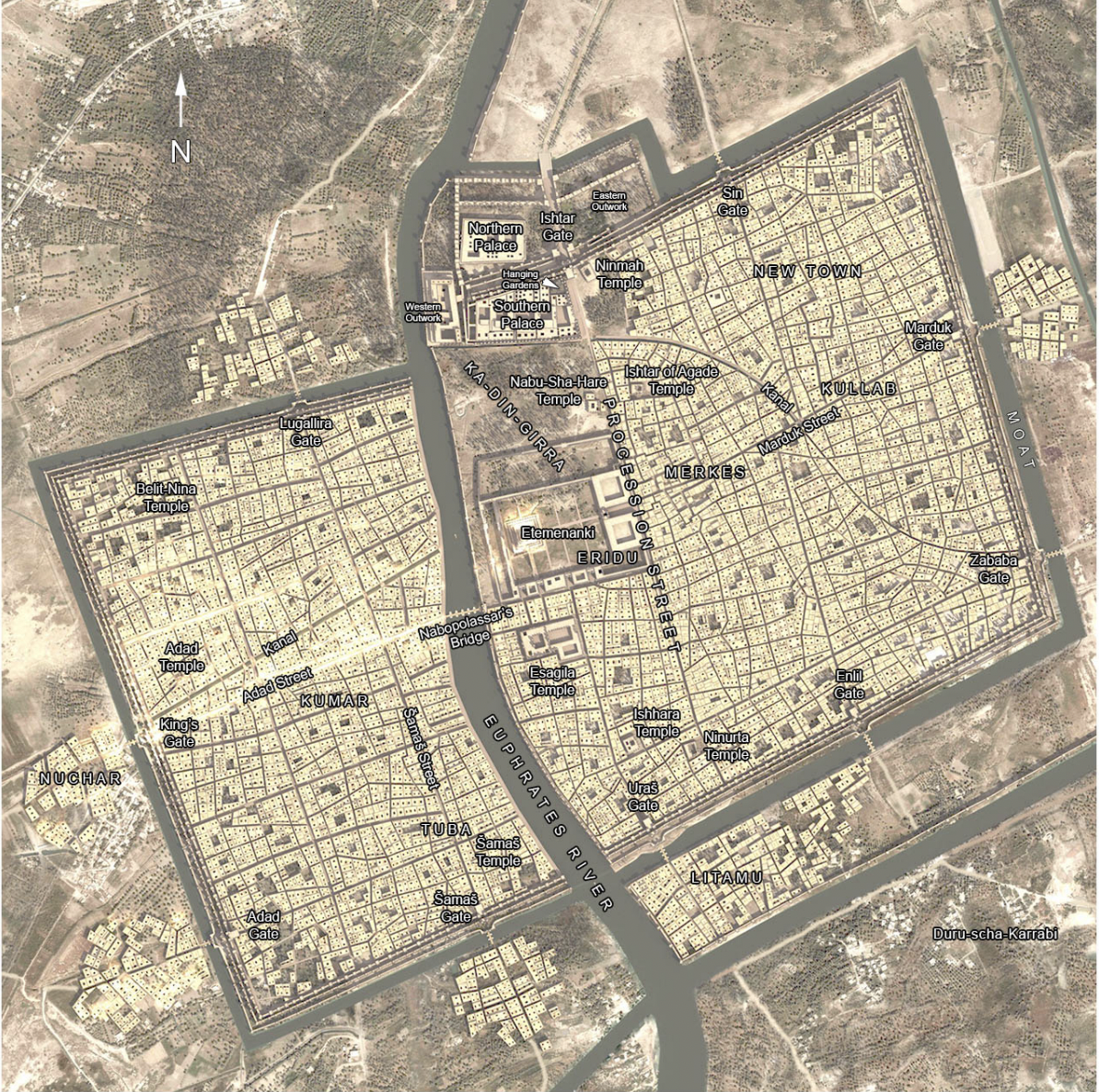 term image