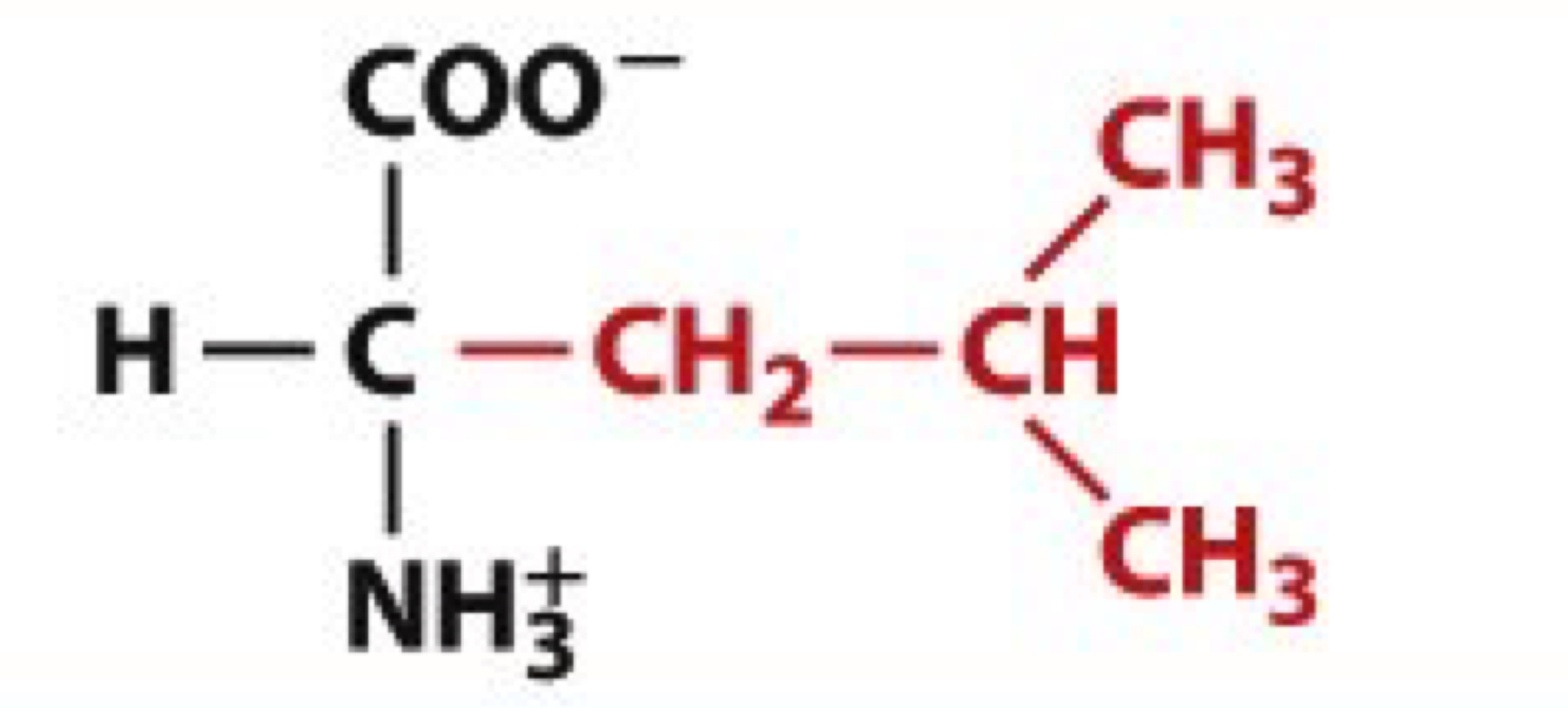 <ul><li><p>Leu, L</p></li><li><p>non-polar</p></li></ul><p></p>