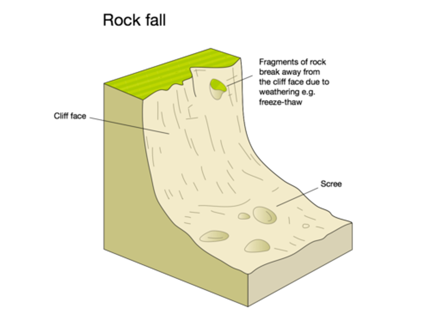 <p>when rocks are weakened at the cliff face they break lose and fall under the influence of gravity.</p>