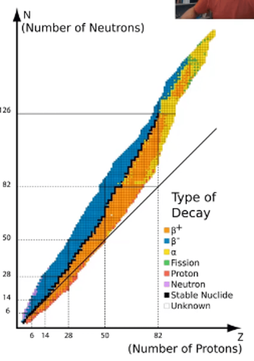 <p>their neutron number can exceed proton number, to a point</p><p>-all isotopes that fall outside this band are unstable (radioactive) and will spontaneously undergo nuclear reactions</p>