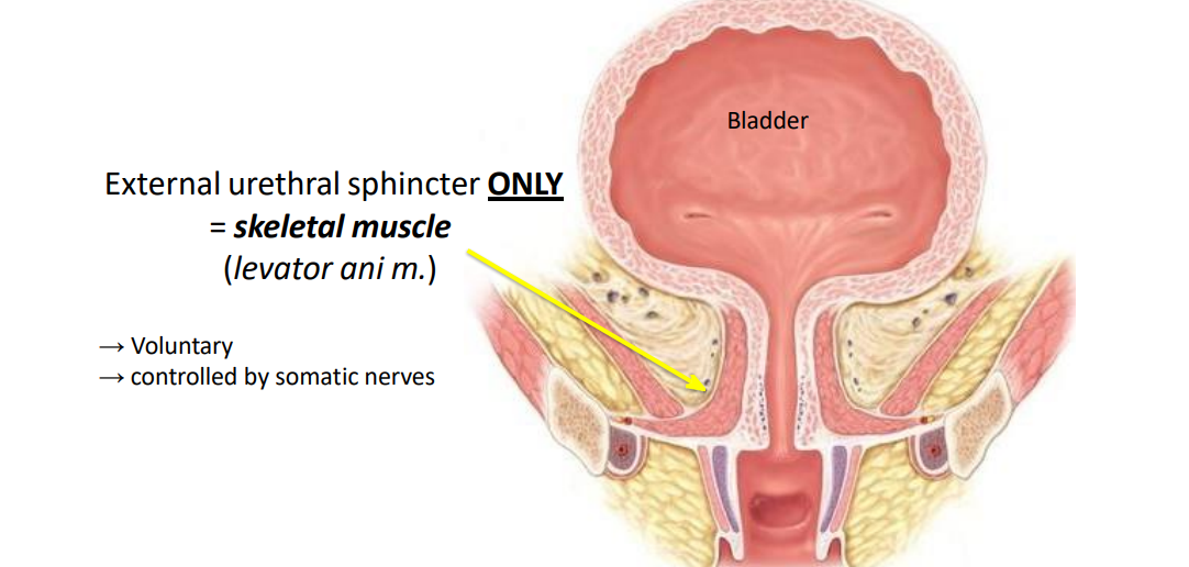<p>DIAGRAM ON SLIDE 24</p>