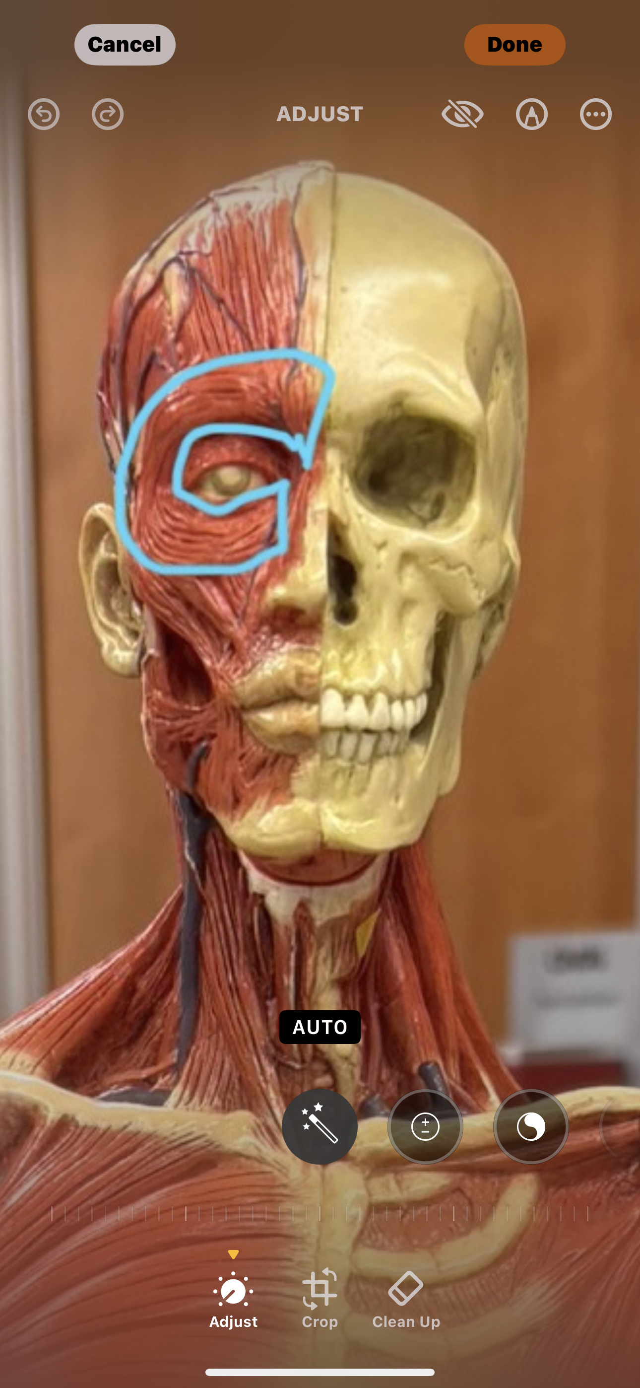 knowt flashcard image