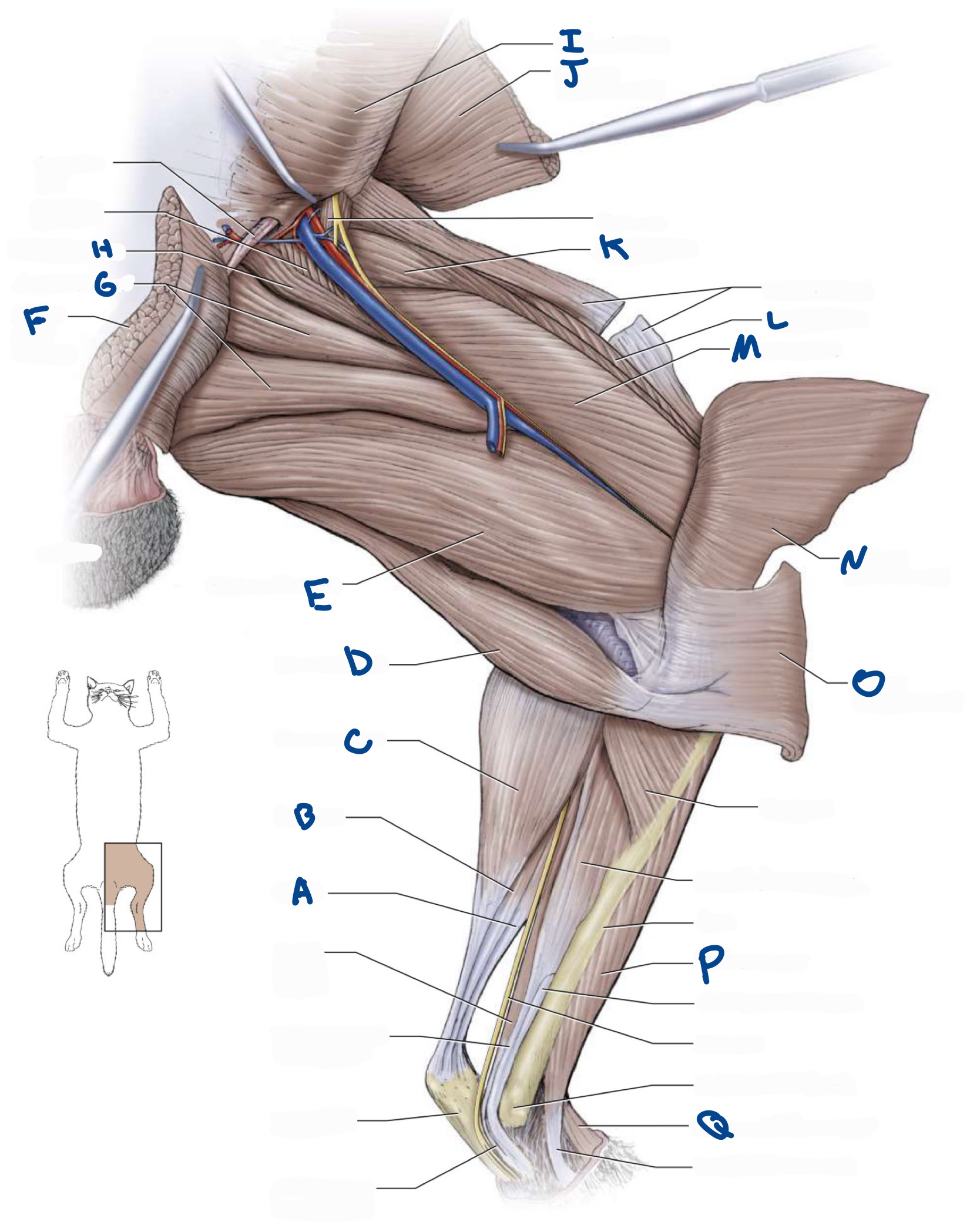 <p>What is M?</p>