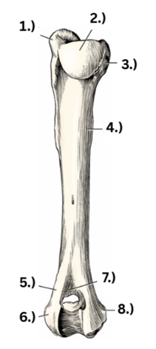 <p>2</p>
