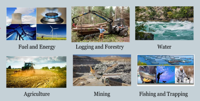 <p><span>Primary industries that take something out of the Earth or the sea can be referred to as <strong>extractive industries</strong>. (Goods that are directly from the earth.)</span></p><ol><li><p><span><strong>Fuel and Energy</strong></span></p></li><li><p><span><strong>Logging and Forestry</strong></span></p></li><li><p><span><strong>Water</strong></span></p></li><li><p><span><strong>Agriculture</strong></span></p></li><li><p><span><strong>Mining</strong></span></p></li><li><p><span><strong>Fishing and Trapping</strong></span></p></li></ol><p></p>