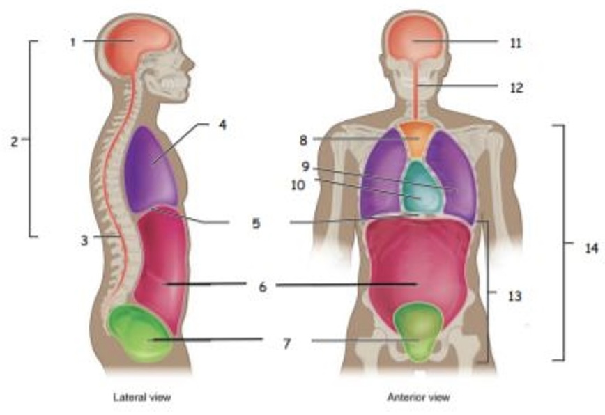 <p>4</p>
