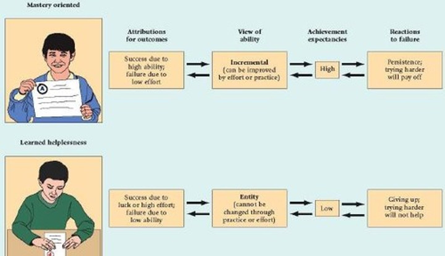 <p>the tendency to fail to act to escape from a situation because of a history of repeated failures in the past</p>