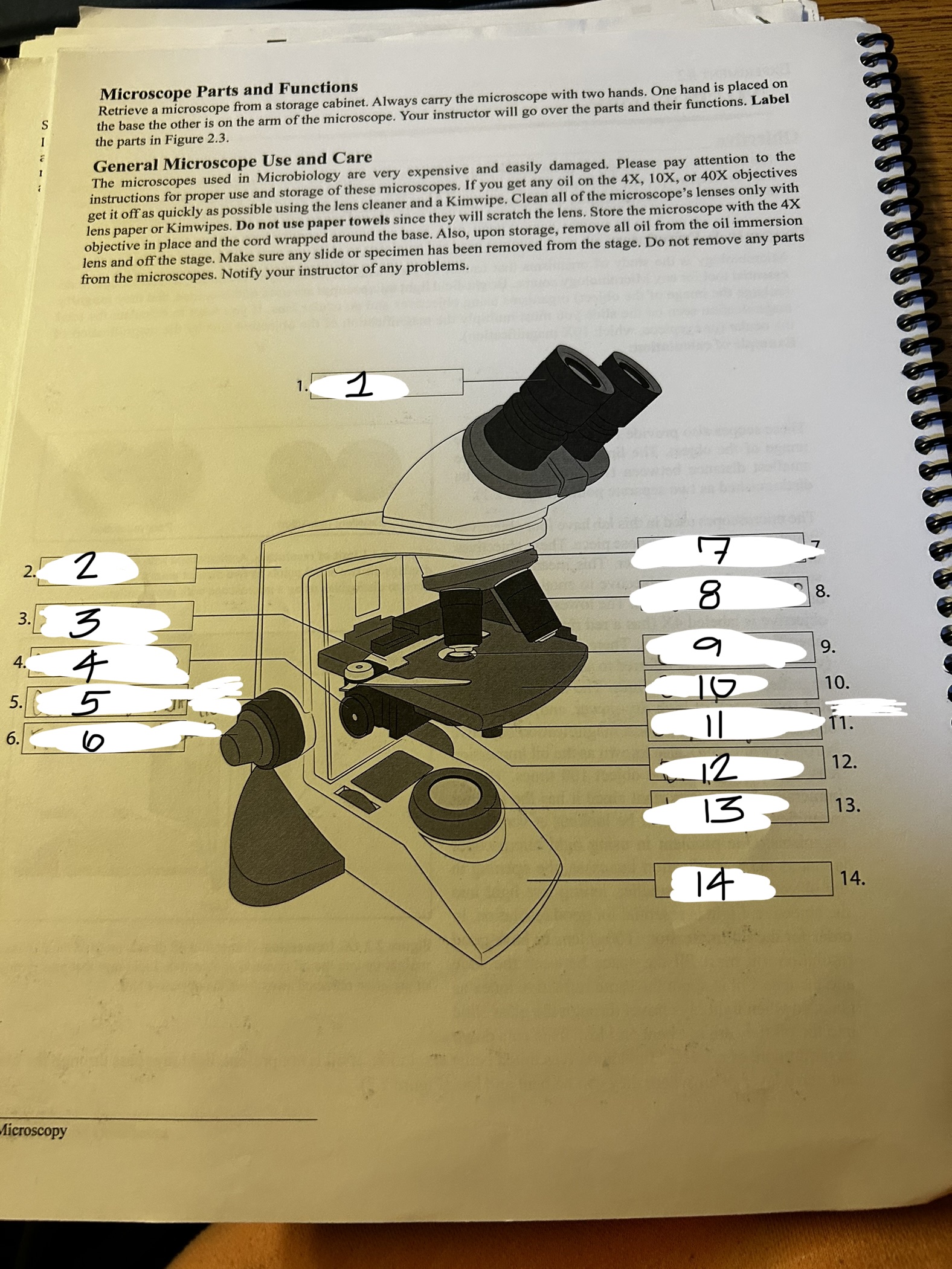 <p>microscope 10</p>