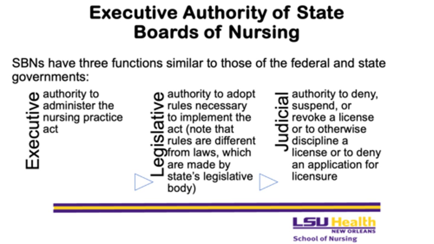 <p>- the authority to administer the nursing practice act</p>
