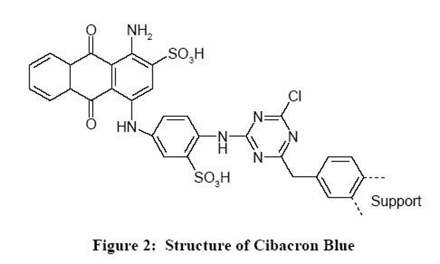 <p>Cibacron Blue, which specifically binds to albumin.</p>
