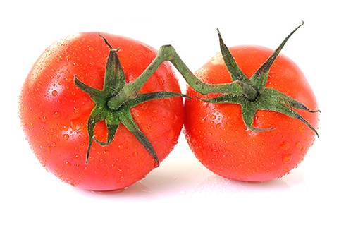 <p>토마토</p>