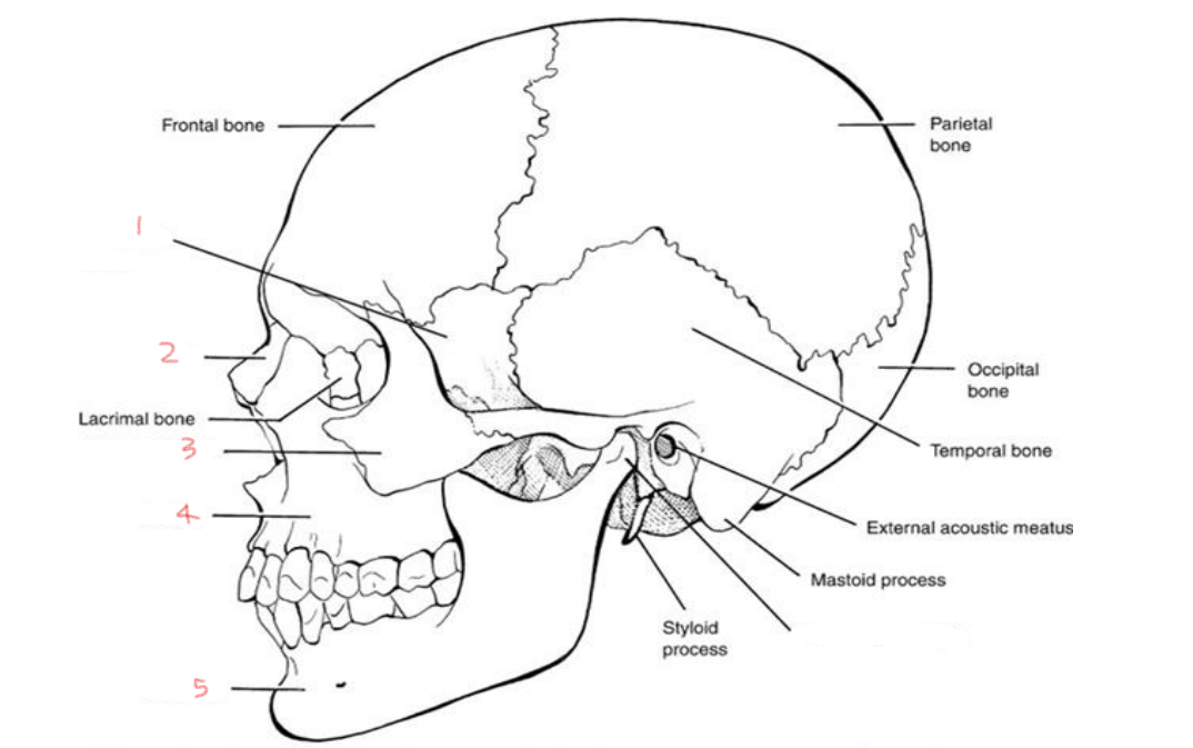 <p>1</p>