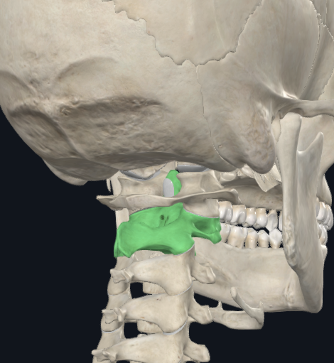 knowt flashcard image