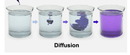 <p>I<span>s the process by which particles move from an area of high concentration to an area of lower concentration.&nbsp;</span></p>