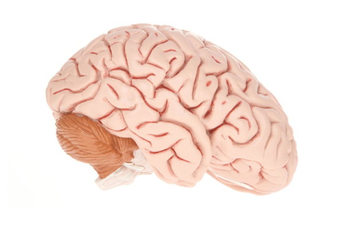 <p>(n) não</p>