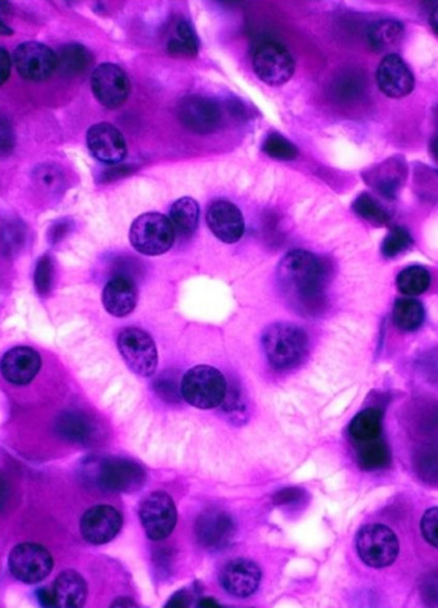 <p>?</p>