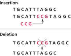 <p>Includes frame shift mutations that have the insertion is deletion in a resting frame for a protein. </p>