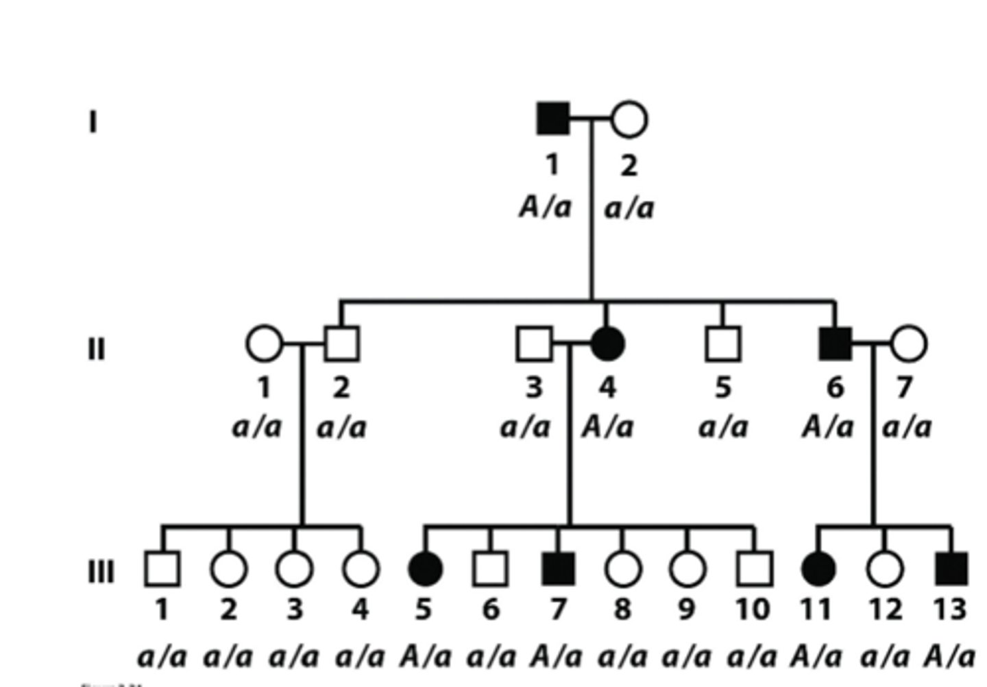 <p>- Affected individuals are A/A or A/a</p><p>- Affected children will ALWAYS have at least one affected parent </p><p>- Vertical pattern of inheritance (parent to offspring)</p><p>- Two affected parents CAN have unaffected progeny if both are heterozygotes </p><p>- Appear equally in both sexes</p>