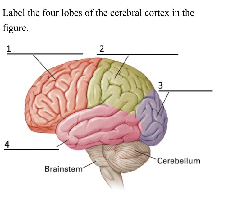 <p>what is 3 called</p>