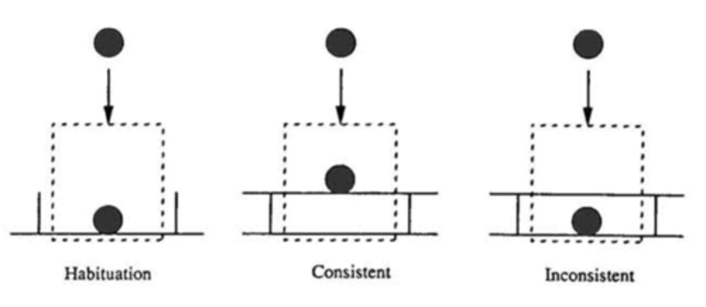 <p>When an object fell behind a screen, an infant looked longer if an object reappeared on the lower of two surfaces (as if the ball jumped discontinuously through the surface barrier) than if it reappeared on the upper surface.</p>