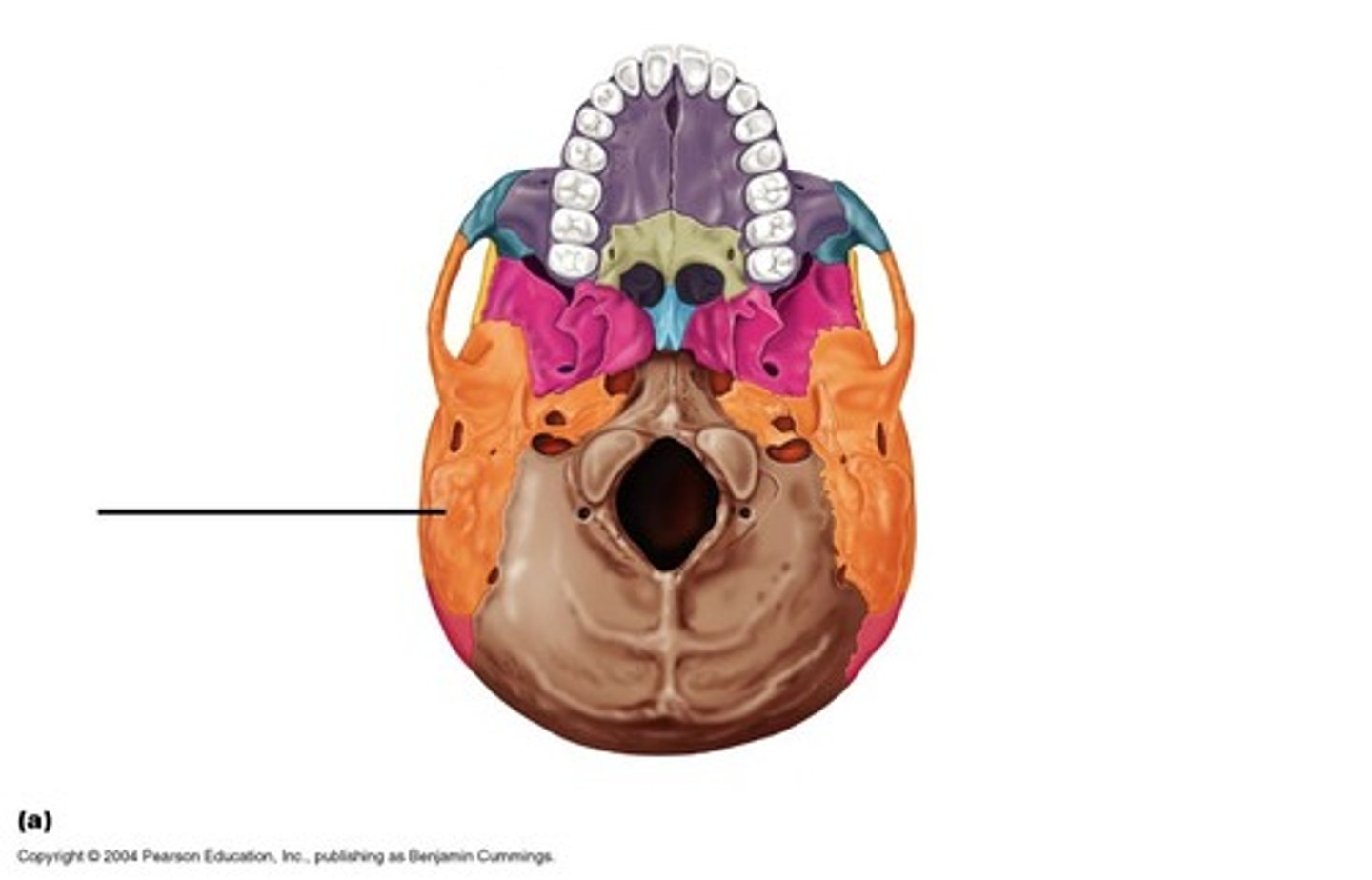 knowt flashcard image