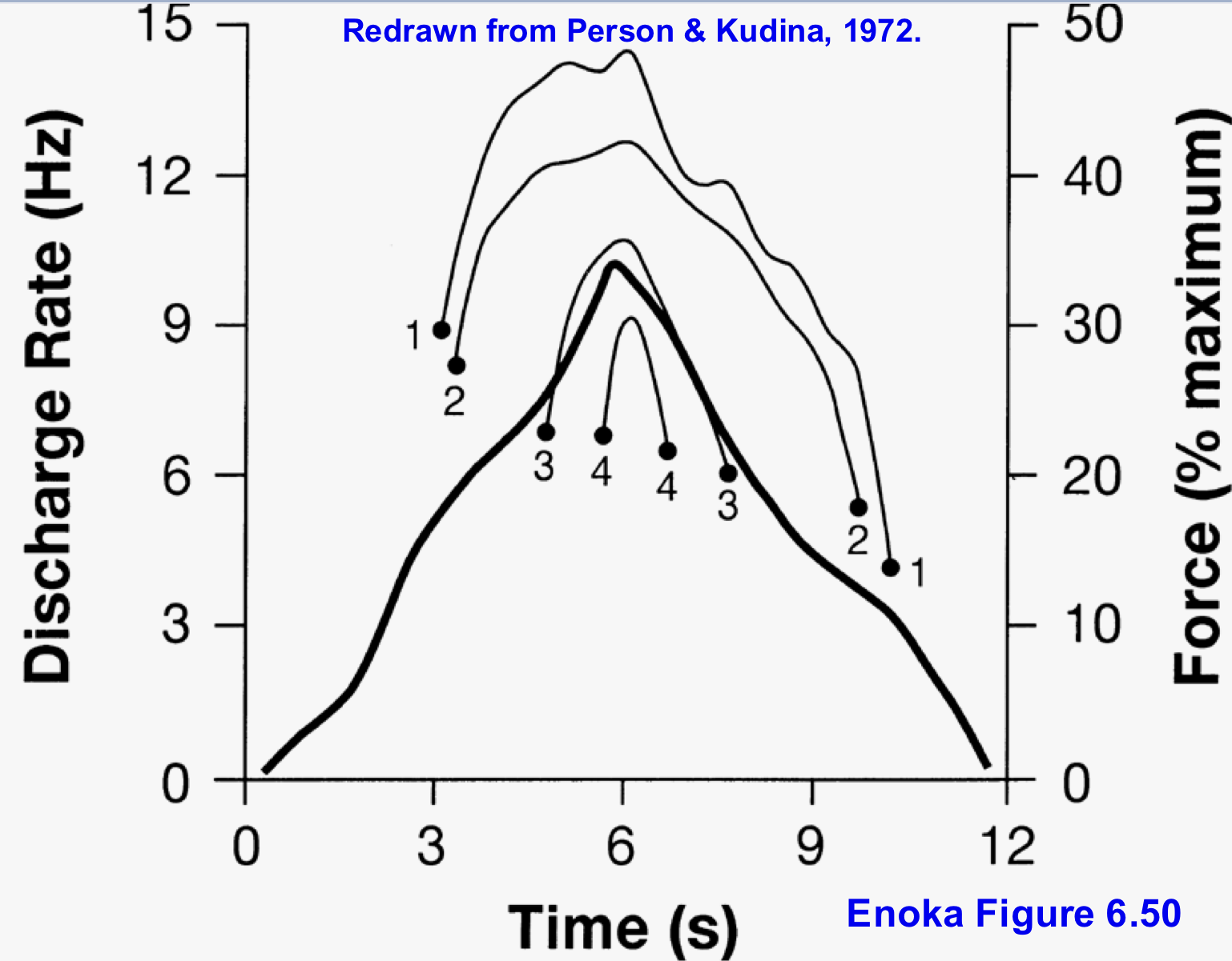 <p>what happens once the muscle hits peak force and starts to go down to resting</p>