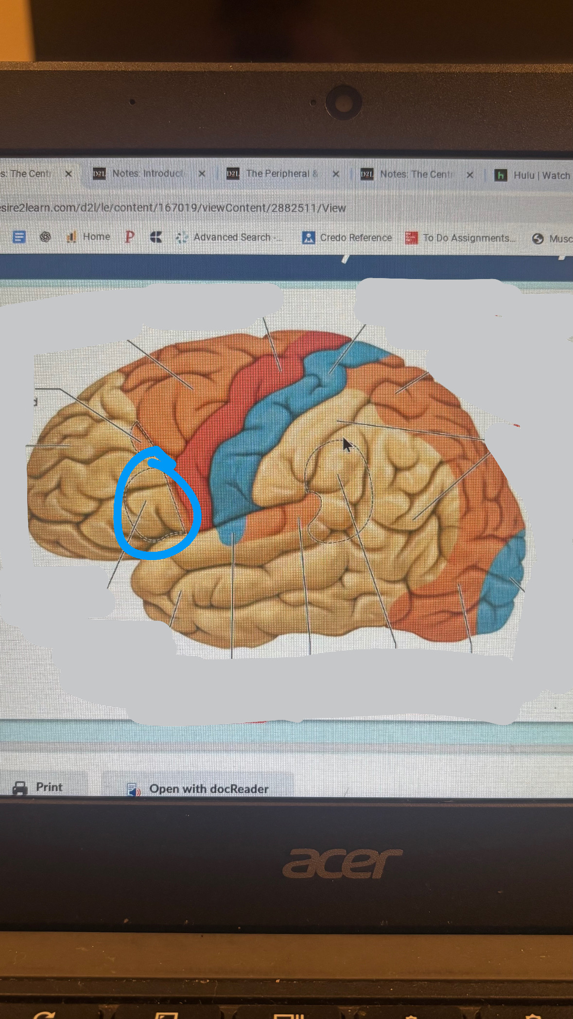 <p>area for producing speech sounds and language (planning, ordering, granmar, syntax)</p>