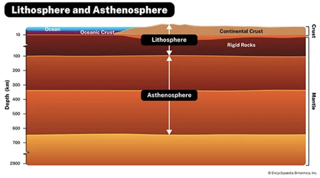 <p>The outermost larger of Earth, including the <strong>mantle and crust</strong></p>