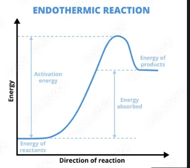 <p>Exo or endo </p>