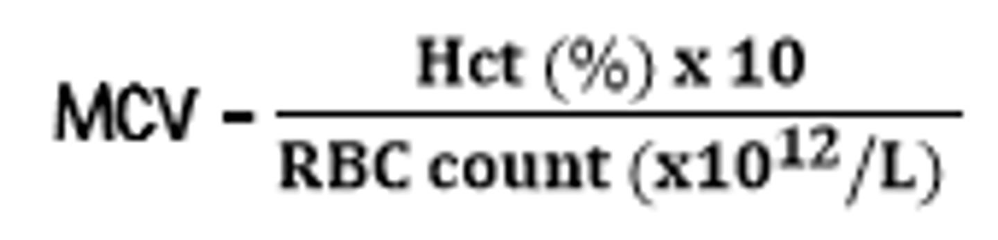 <p>MCV average volume of individual rbc (RI = 80-100 fL) [hct%/#RBCs * 10] HIGH MCV = larger cells (macrocytic)</p>