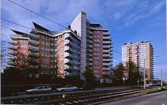 term image