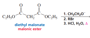 <p>Malonic ester formation</p>