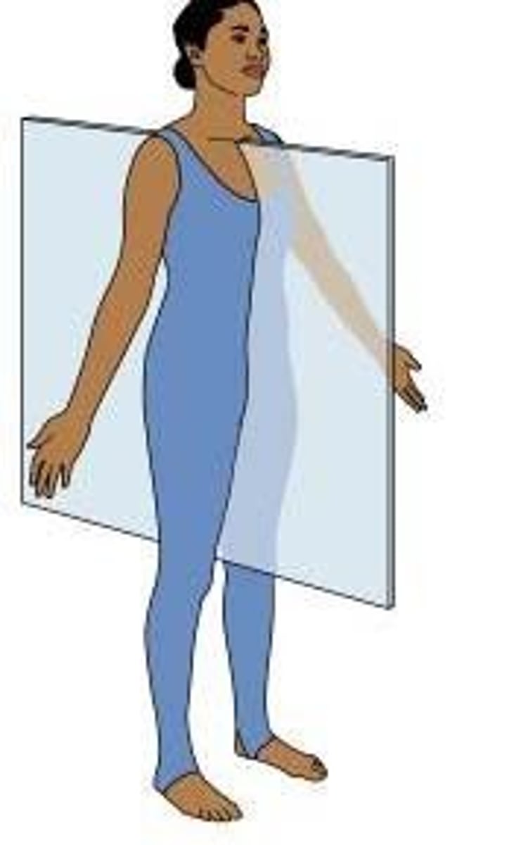 <p>vertical, divides the body into equal in size right and left sections</p>