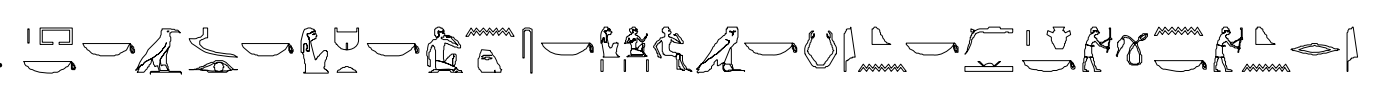 term image