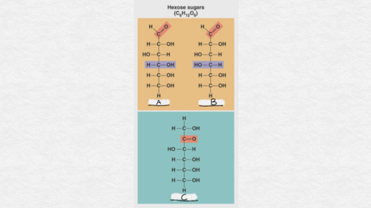<p>Label these hexose sugars in order from A to C.</p>