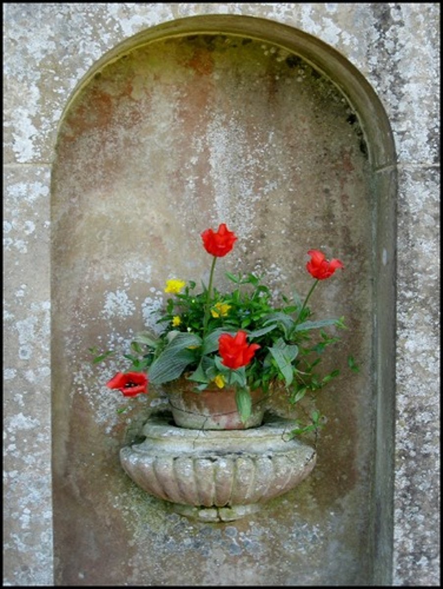 <p>(n.) a decorative recess in a wall; a suitable place or position for a person or thing</p>