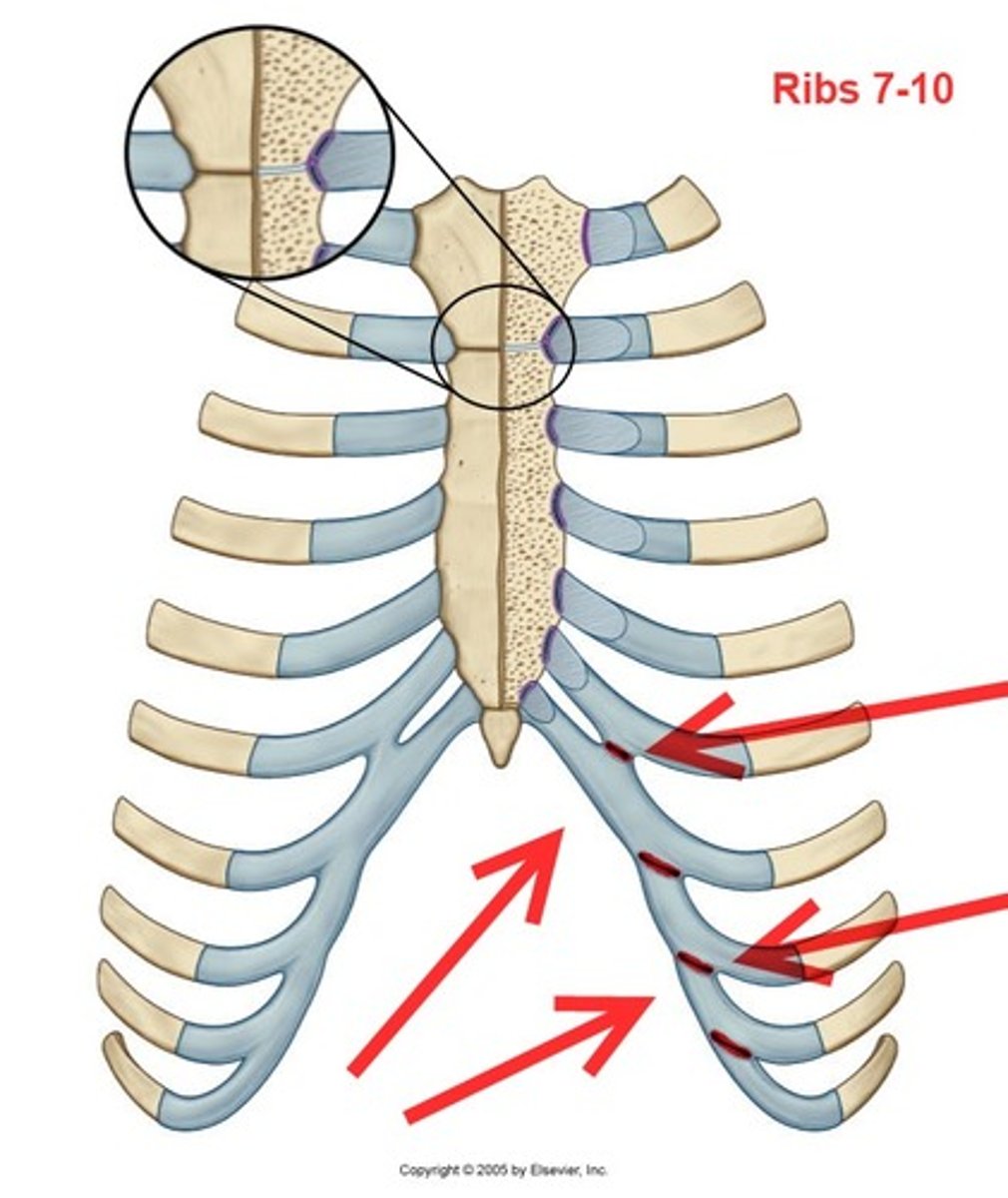 <p>what is it pointing to?</p>