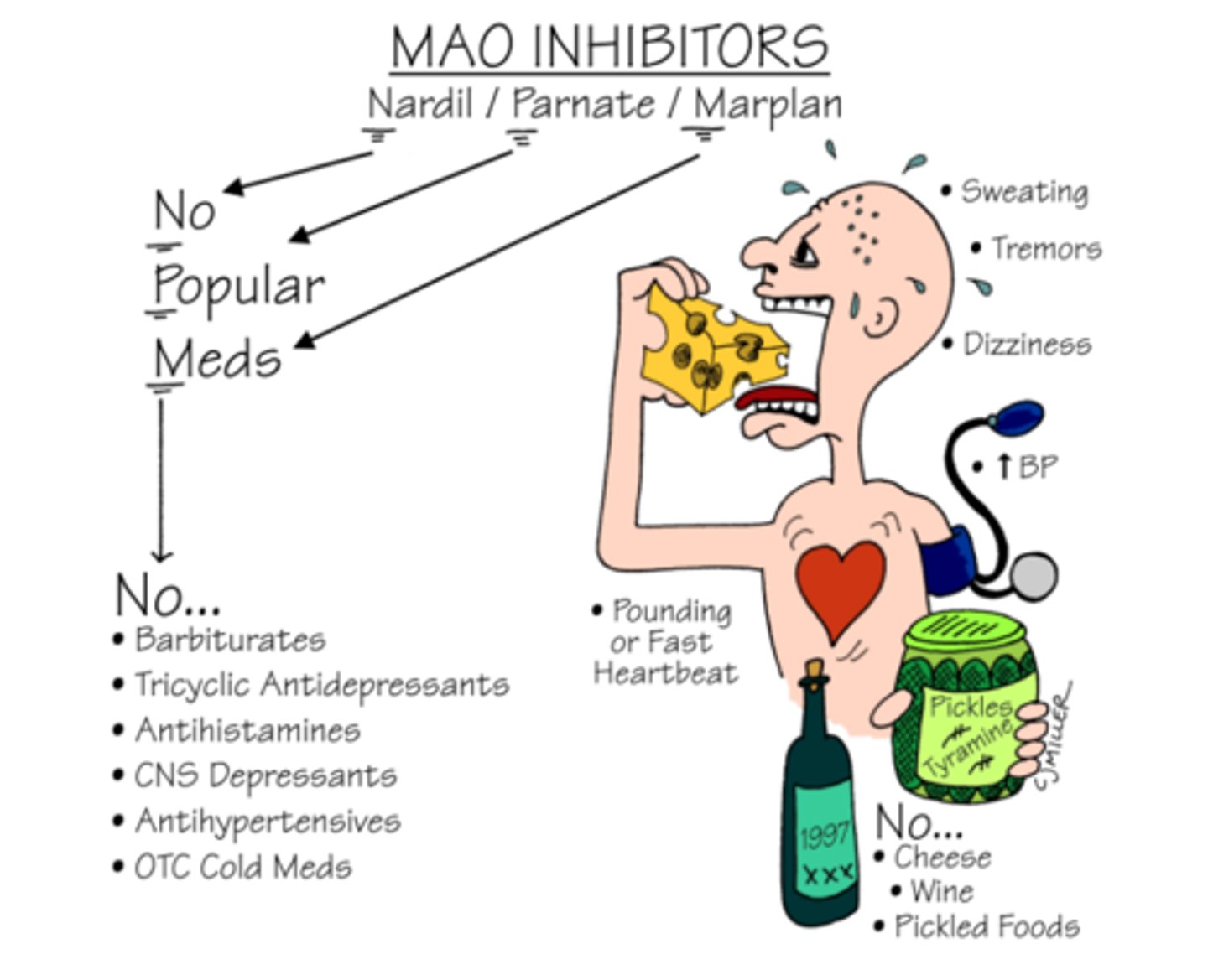<p>This is when non-selective MAOIs block all MAO. MAOB in gut is therefore blocked.</p><p>Tyramine in diet usually is metabolised by MAO. If it is not metabolised, it is absorbed as tyramine and displaces NA in the nerve terminal.</p><p>Therefore, ingested tyramine has sympathomimetic effects - significant for CVD symptoms. This is known as the cheese reaction of as cheese has high tyramine content.</p><p>This could cause a hypertension crisis, headache, angina or cardiac arrest.</p>