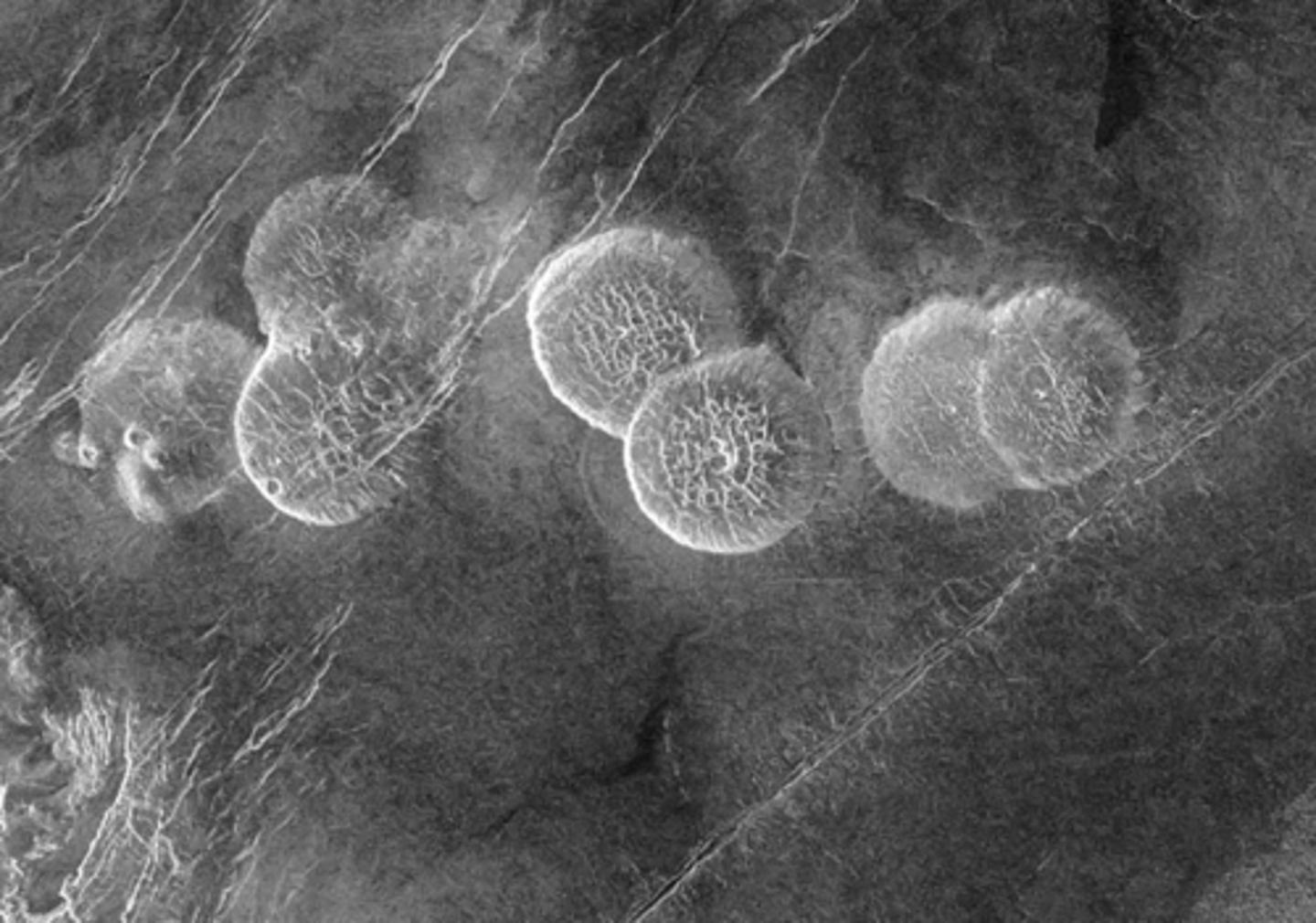 <p>What are these circular features?</p>