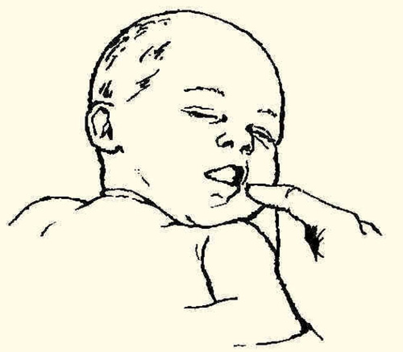 <p>stroke cheek - opens mouth</p>