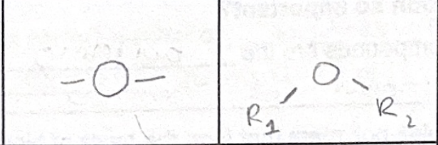 <p>which functional group</p>