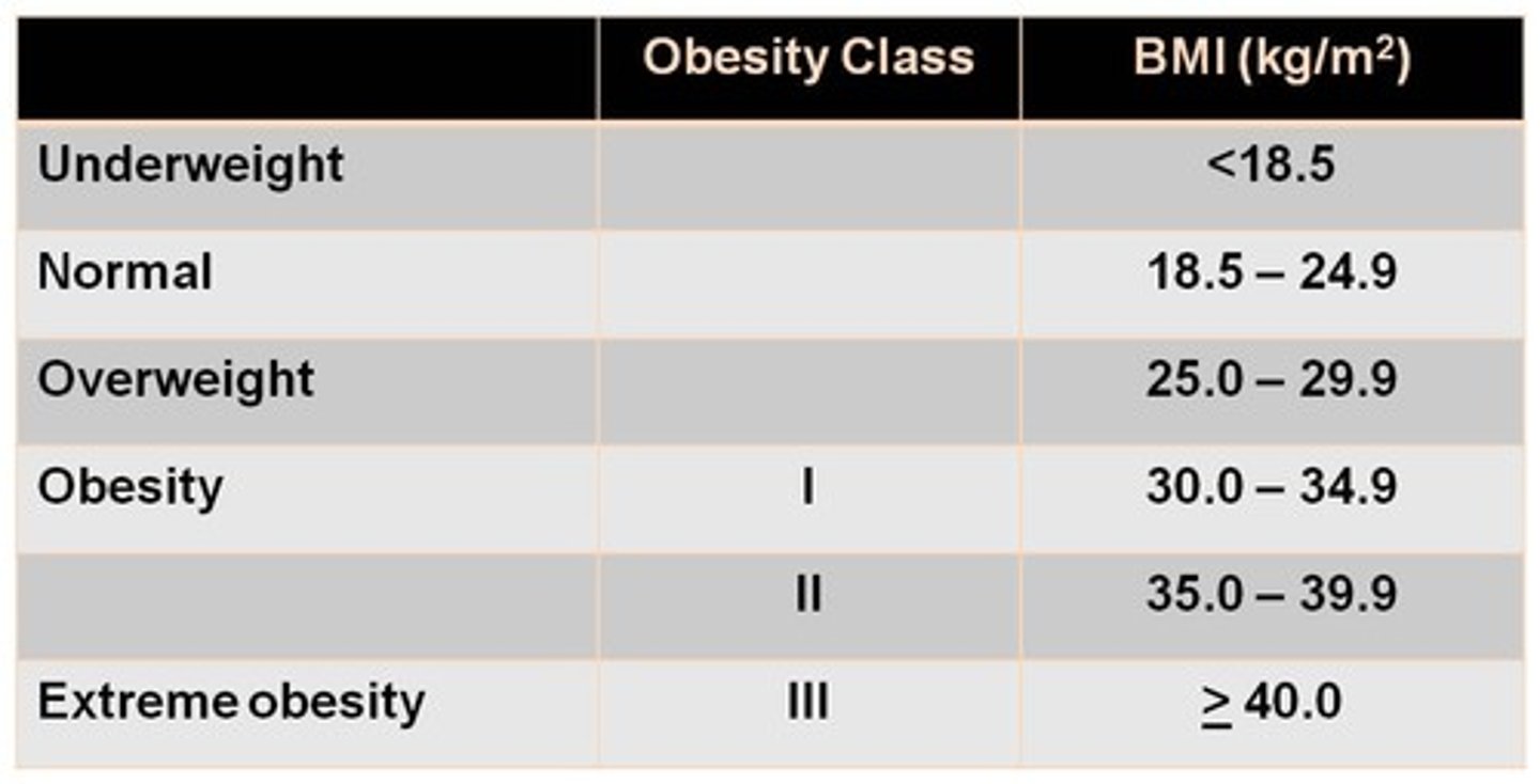 <p>Who receives: overweight people</p><p>Aimed to prevent: diabetes, heart disease, high blood pressure</p><p>Screening Frequency: once a yr</p>