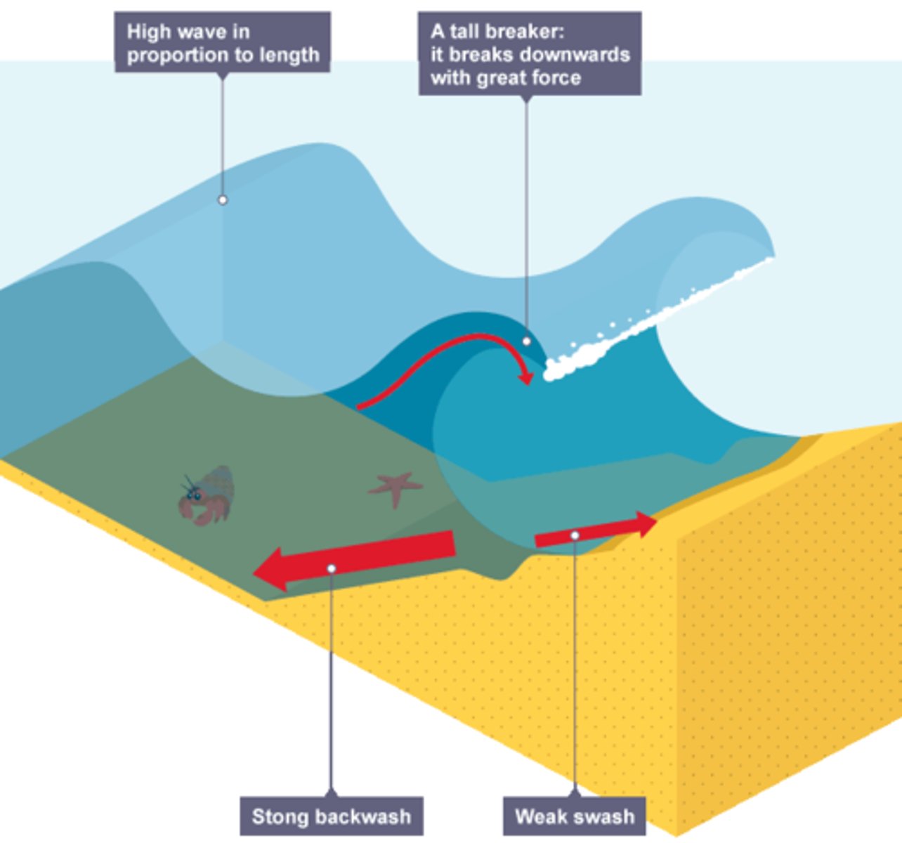 <p>. weak swash and strong backwash</p><p>. removes sediment from the beach</p><p>. steep and close together</p>