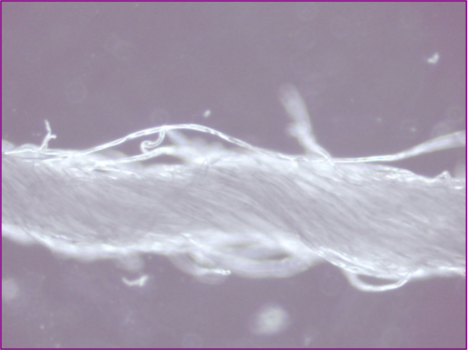 <p><strong>AFM IMAGES OF COTTON WEAVE </strong></p>