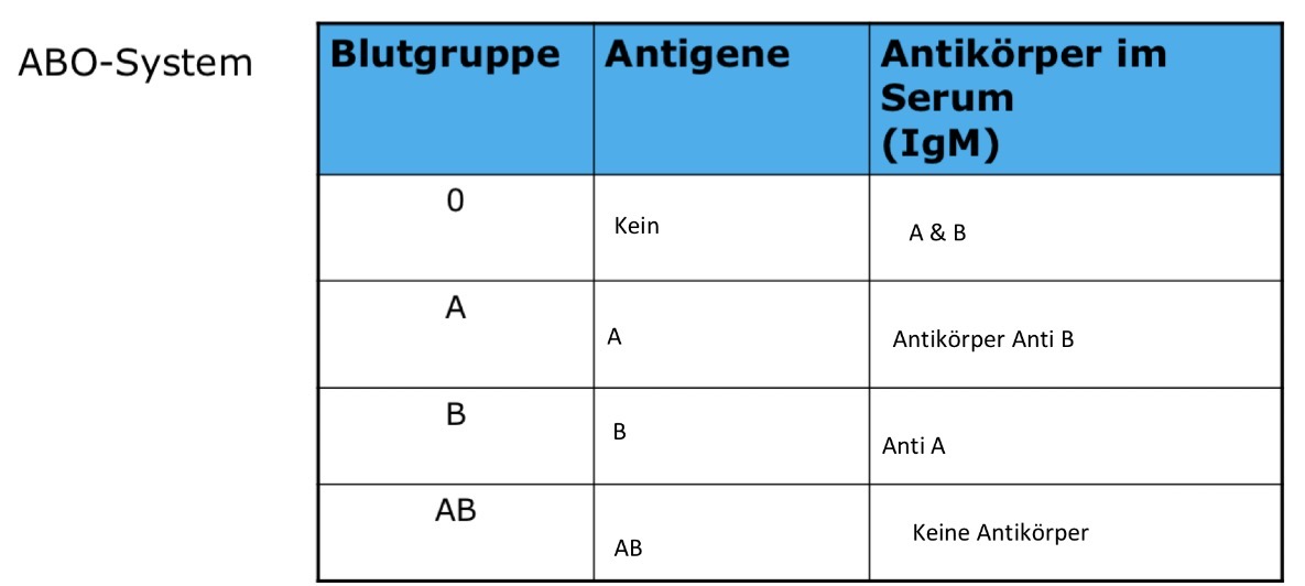 <p>Antigene sind auf dem Erythozyt und Antiköper sind im Plasma. Im Plasms ist immer der gegenspielende Antiköper zum Antigen. </p><p>IgM = Die schnell gebildeten Antikörper/Immunglobulin sind nicht Plazentagängig </p>