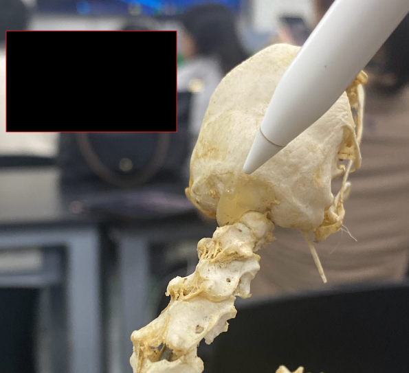 <p>What part is this </p>