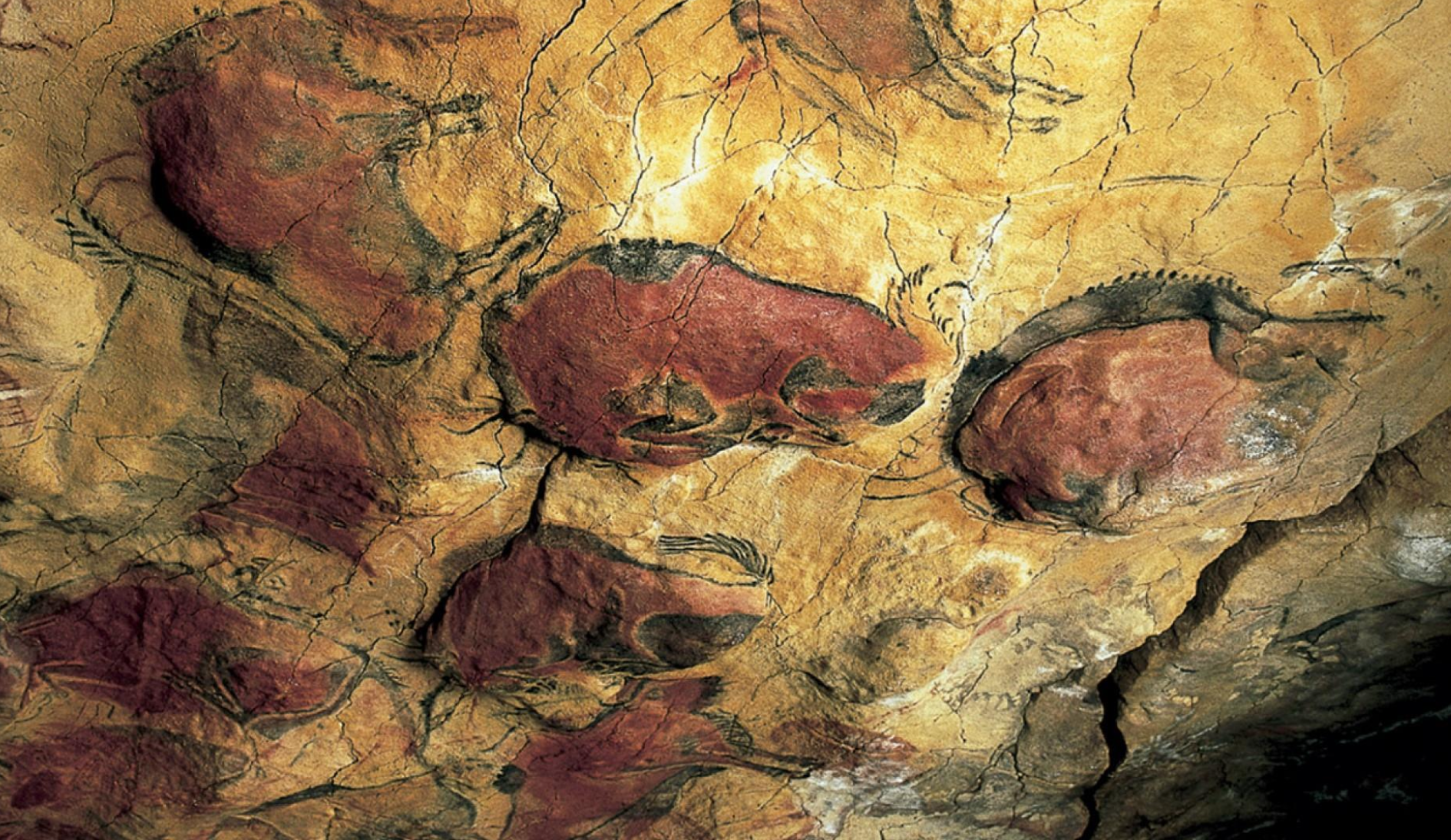 <p><u>Magdalenian Cave Art:</u></p><ul><li><p> Large, uses formation of rock to create volume.</p><ul><li><p>Imagine the process of choosing spot, very slow, thoughtful, creative</p></li></ul></li></ul><ul><li><p>Painted in difficult conditions with no natural light and with the aid of torches or stone lamps with animal fat, the painted cabes are not near the entrance, made for just a few? Ceremonial spaces for ritual?</p></li><li><p>The study of these caves mainly based in comparison with contemporary (19<sup>th</sup> century) ‘primative’ groups.</p></li></ul><p></p><p>Interpretations:</p><ul><li><p class="MsoListParagraphCxSpFirst">Magical, ritualistic to secure nourishment and fertility, abundance</p></li><li><p class="MsoListParagraphCxSpFirst"><span style="font-family: "Times New Roman"; line-height: normal; font-size: 7pt;"><span> </span></span>Hands, traces of the participants in ceremonies</p></li><li><p class="MsoListParagraphCxSpFirst">Duality of nature, some animals representing men (horses) and others women (bison and bull), men thin, women obese, duality based in opposition</p></li><li><p class="MsoListParagraphCxSpFirst">Symbolic and communicative to register events and history</p></li></ul><p></p>