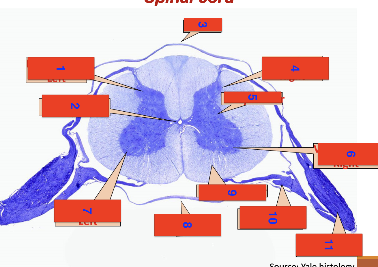 <p>5</p>