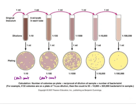 <p>Describe 1:10 serial dilution and what it is useful for</p>